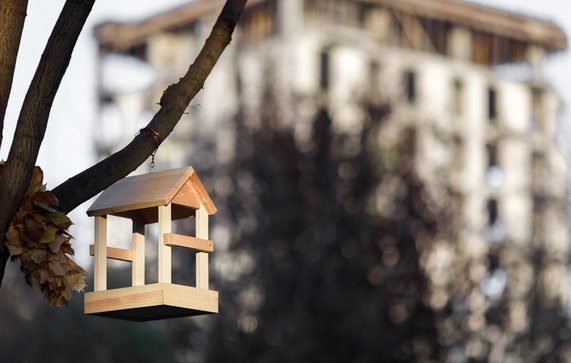 Een nestkast in de stad door Evgenyrychko (bron: Shutterstock)