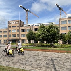 Ringerskwartier door gemeente Alkmaar (bron: gemeente Alkmaar)