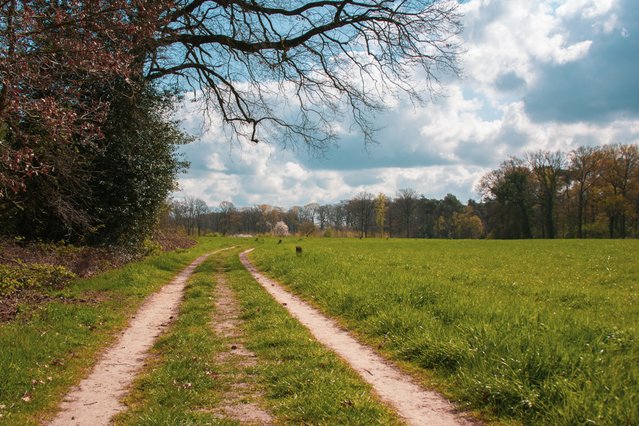 Pieterpad tussen Vorden en Zelhem door Dotwood (bron: Shutterstock)