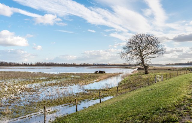 Overstroomd gebied naast de rivier door Ruud Morijn Photographer (bron: Shutterstock)