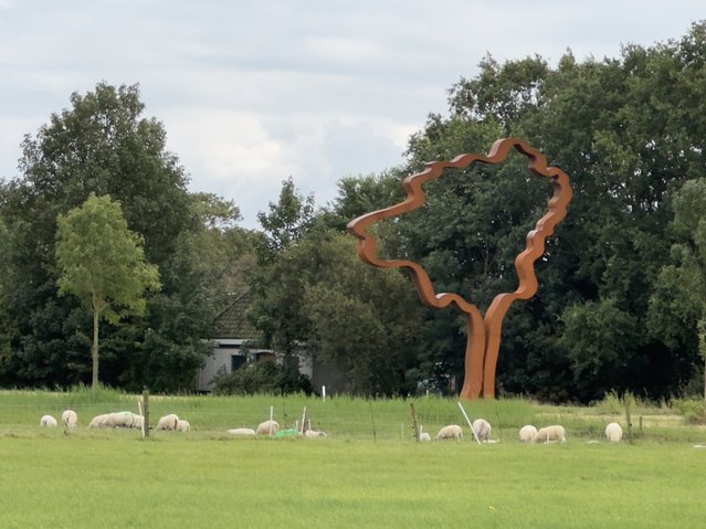 'De Bomen boven Maaiveld' in Leens (1) door Kees de Graaf (bron: Kees de Graaf)