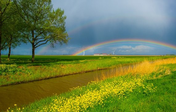 Regenboog over het landschap in Almere door Marijs Jan (bron: Shutterstock)