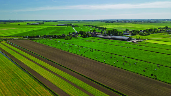 Luchtfoto van groene landerijen door Ivan Vasylyev (bron: Shutterstock)