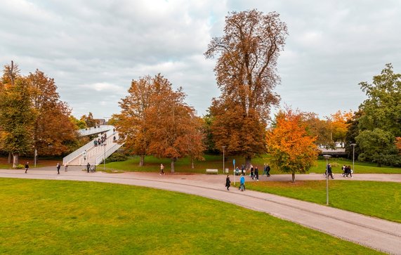 Maastricht door ColorMaker (bron: shutterstock)