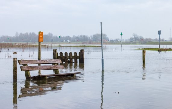 Olst Wijhe in Overijssel door INTREEGUE Photography (bron: Shutterstock)