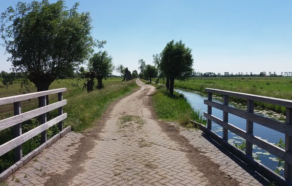 Polder Rijnenburg bij Utrecht door Joostik (bron: Wikimedia Commons)