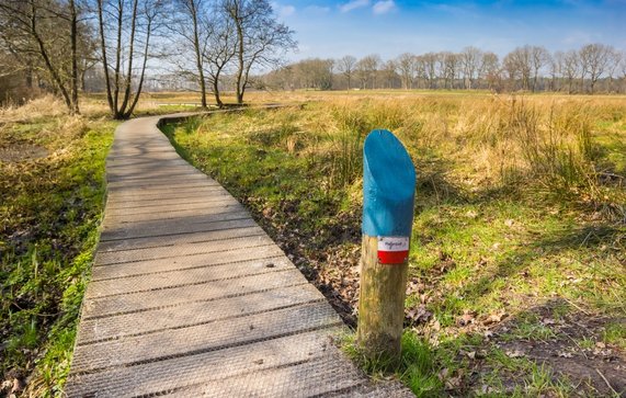 Pieterpad wandelroute in Drenthe door Marc Venema (bron: shutterstock)