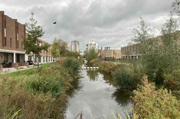 Tromptuinen in Wielwijk met aan weerszijden koopwoningen door Teun van den Ende (bron: Teun van den Ende)
