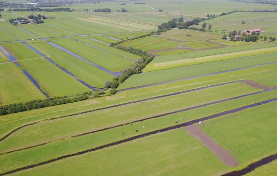 Groene Hart door Peter van Haastrecht (bron: Shutterstock)