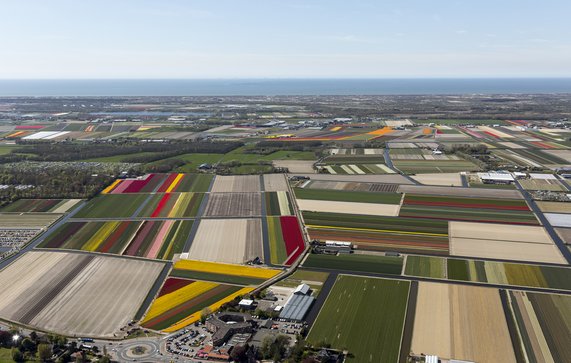 Luchtfoto van Nederlands landschap door Aerovista Luchtfotografie (bron: Shutterstock)