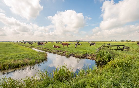 Langerak, Zuid-Holland door Ruud Morijn Photographer (bron: Shutterstock)