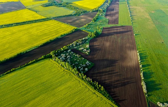 Platteland met groene en gele landbouwvelden. door Stefan Milivojevic (bron: shutterstock)