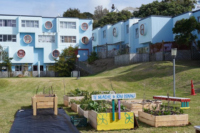 De community moestuin in Wellington (NZ) in zijn omgeving: op het veld tussen de flats van sociale huurwoningen door Renate Schelwald (bron: Renate Schelwald)