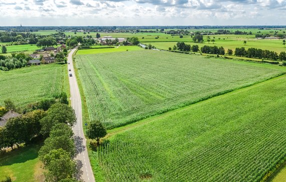 Aerial drone view of green fields and farm houses near canal from above, Netherlands door JaySi (bron: Shutterstock)