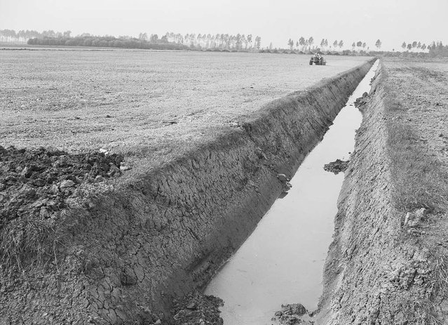 Ruilverkaveling Land van Maas en Waal. door Nationaal Archief (bron: picryl.com)