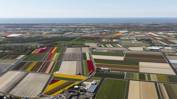 Luchtfoto van Nederlands landschap door Aerovista Luchtfotografie (bron: Shutterstock)