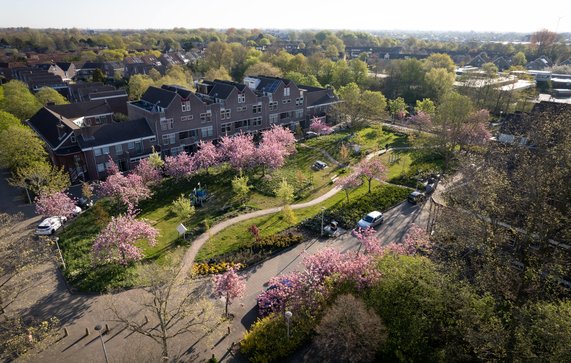 Stadswerk Arkplein door Erik Boschman (bron: Stadswerk072)