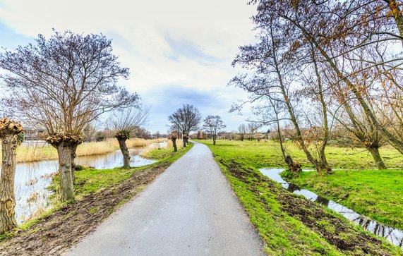 Polderlandschap door Photodigitaal.nl (bron: Shutterstock)