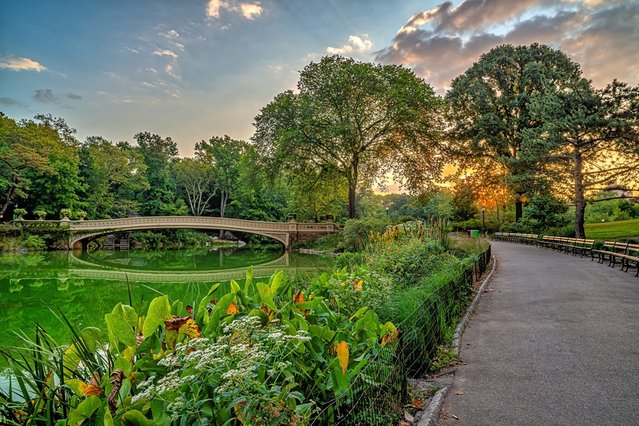 Bow Bridge in Central Park, New York door John A. Anderson (bron: Shutterstock)