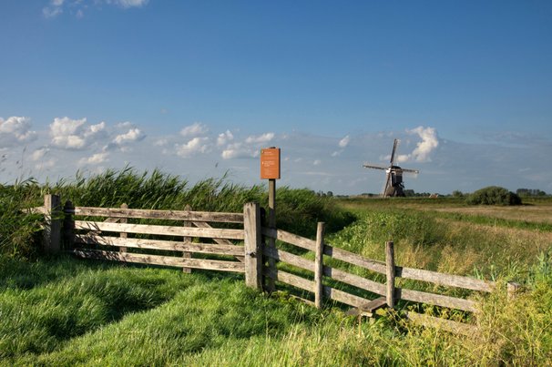 Donkse Laagten Alblasserwaard door jstuij (bron: Shutterstock)