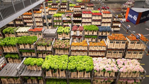 FloraHolland in Aalsmeer door Wolf-photography (bron: Shutterstock)