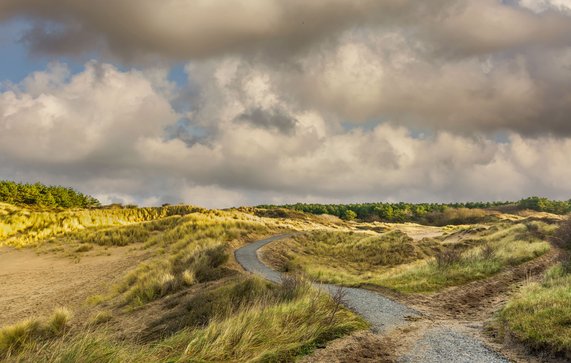 Duinen bij Noordwijk door Photodigitaal.nl (bron: shutterstock.com)