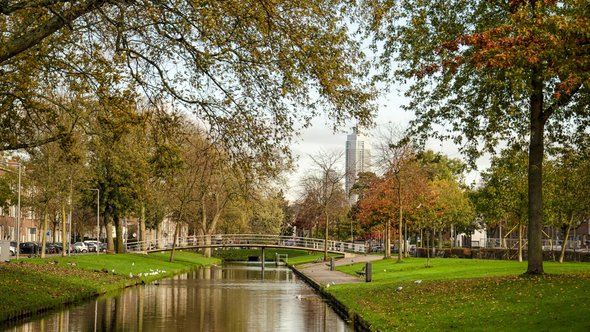 Rotterdam, The Netherlands, November 5, 2022: view along Lepelaarsingel canal in Charlois neighbourhood with the downtown highrise in the distance door Frans Blok (bron: shutterstock)