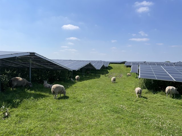 Zonnepanelen op de Bavelse Berg door Sweco (bron: Sweco)