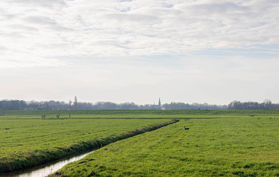 Polderlandschap door Wut_Moppie (bron: Shutterstock)