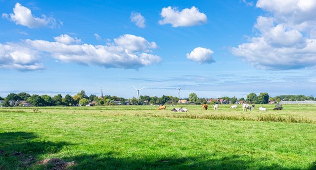 Nederlands landschap door Menno van der Haven (bron: Shutterstock)