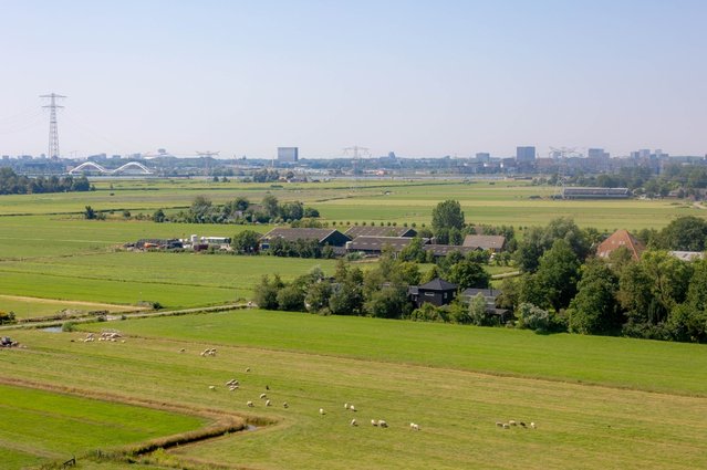 Polderlandschap door Wut_Moppie (bron: Shutterstock)