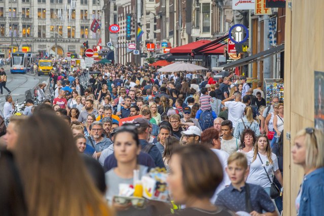 Damrak, Amsterdam door 4kclips (bron: Shutterstock)