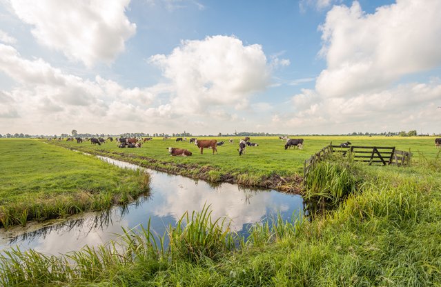 Langerak, Zuid-Holland door Ruud Morijn Photographer (bron: Shutterstock)