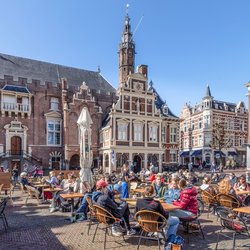 Gemeentehuis van Haarlem door Wolf-photography (bron: Shutterstock)