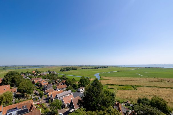 Nederlands polderlandschap door Wut_Moppie (bron: Shutterstock)