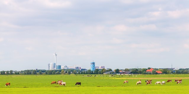 Weiland met op de achtergrond Amsterdam-Zuidoost door Martin Bergsma (bron: Shutterstock)