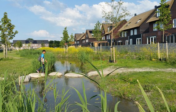 Klimaatadaptieve nieuwbouw in Boszoom, Pijnacker door Nanda Sluijsmans (bron: Flickr)