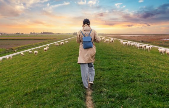 Lopen op de dijk in Oost-Friesland door K-FK (bron: Shutterstock)