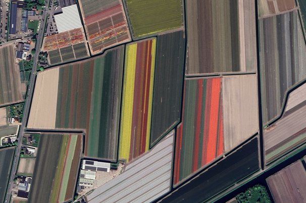 Tulpenvelden door Aerial Viewer (bron: Shutterstock)