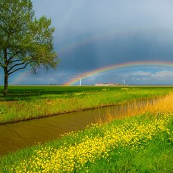 Regenboog over het landschap in Almere door Marijs Jan (bron: Shutterstock)