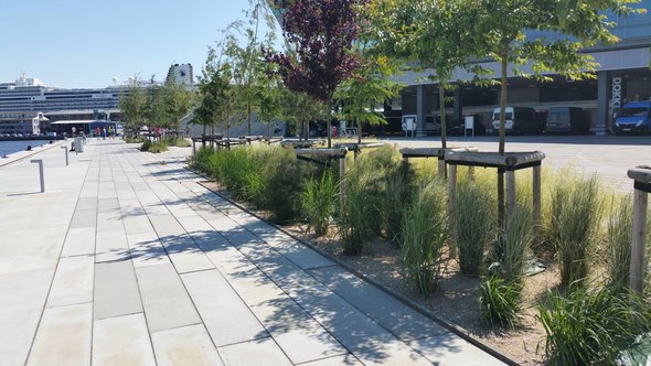 Vergroenen van plein, Aarhus door Nanda Sluijsmans (bron: Wikimedia Commons)