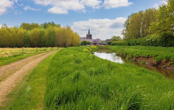 De Demer, Zichem door Guido Vermeulen-Perdaen (bron: shutterstock)