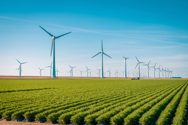 Westermeerwindpark in de Noordoostpolder door Fokke Baarssen (bron: Shutterstock)