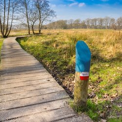 Pieterpad wandelroute in Drenthe door Marc Venema (bron: shutterstock)