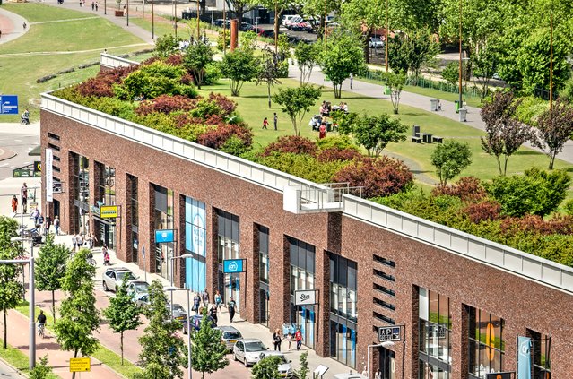 Dakpark, Rotterdam door Frans Blok (bron: Shutterstock)