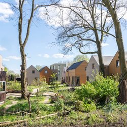 Project Groeneweerd, onderdeel van de Tuinen van Zandweerd in Deventer. door Jonah Samyn (bron: De Architect)