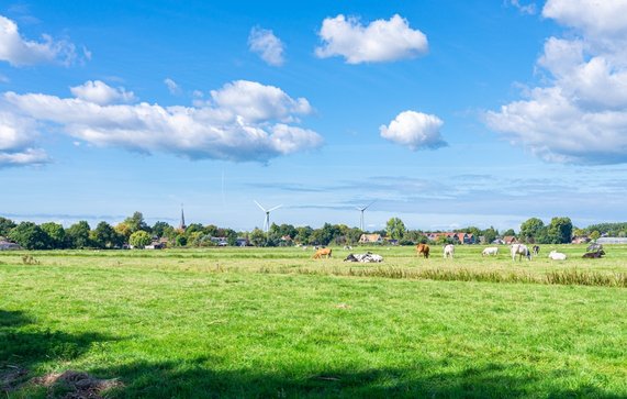 Nederlands landschap door Menno van der Haven (bron: Shutterstock)