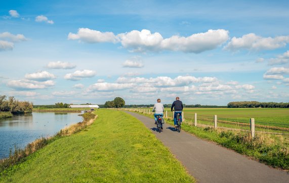 Dijk Biesbosch door Ruud Morijn Photographer (bron: shutterstock.com)