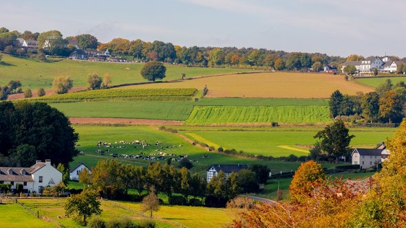Herfstlandschap in Zuid-Limburg door Wut_Moppie (bron: Shutterstock)