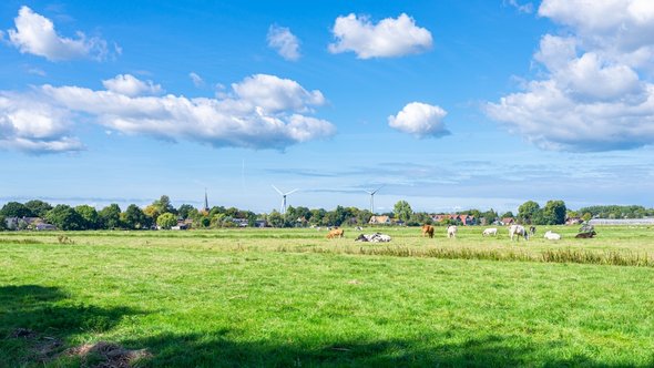 Nederlands landschap door Menno van der Haven (bron: Shutterstock)